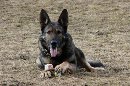 Michaela NOVOTNÁ + GOTIKA Aritar Bastet